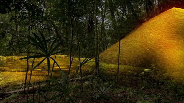 Reruntuhan Bangsa Maya Ditemukan Hutan Guatemala