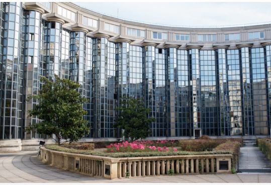 Jardin des Colonnes, Tamannya Hunger Games
