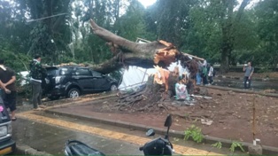 Bandung Dicabik Angin Kencang