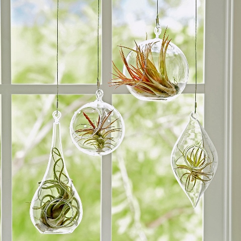 tren warna terbaru interior