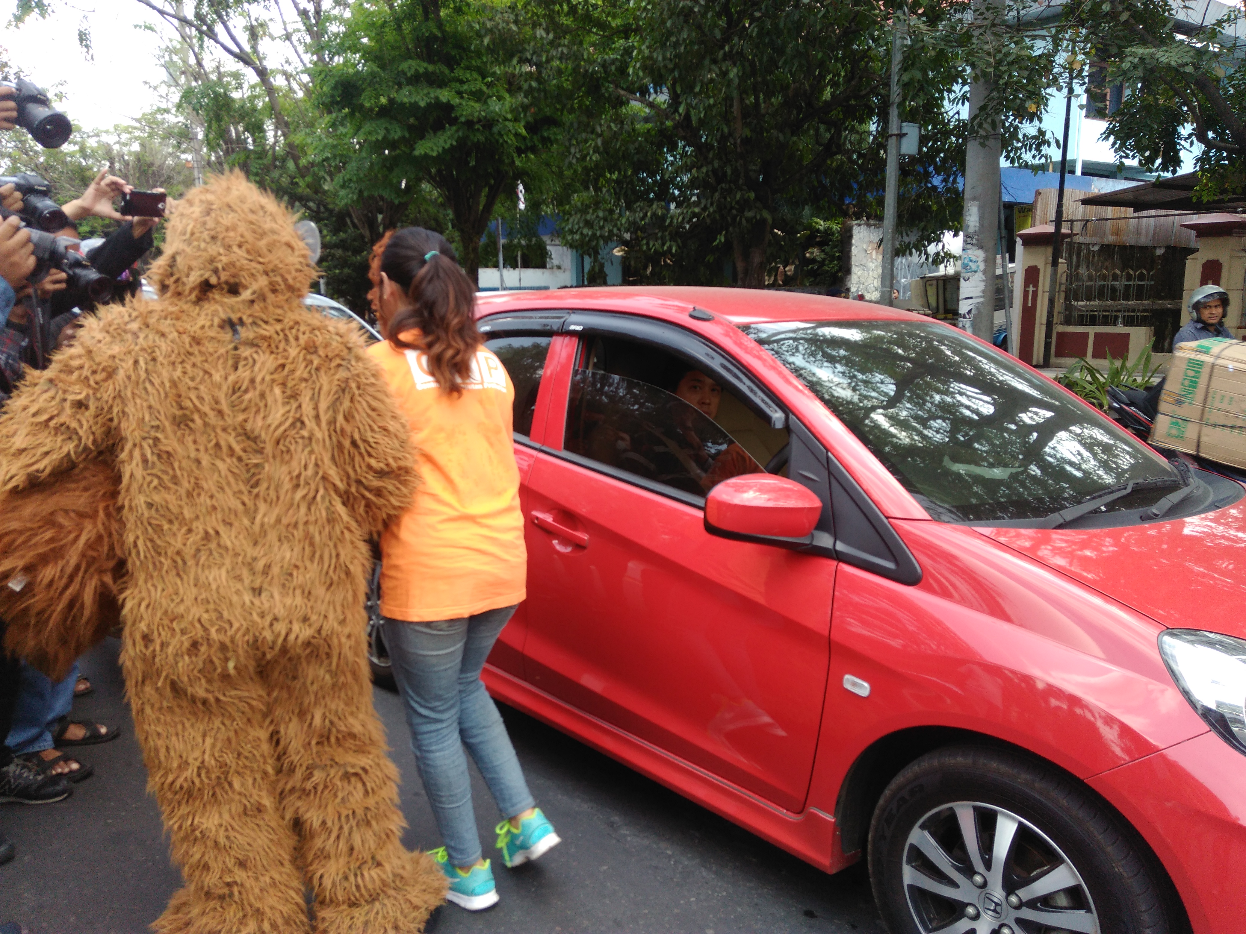 Berburu Induk Demi Menjual Anak Orangutan