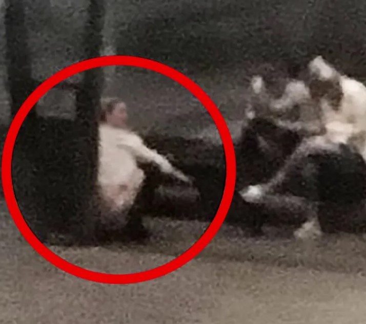 Menjijikkan! Amber Heard Ketahuan Buang Tinja di Jalan