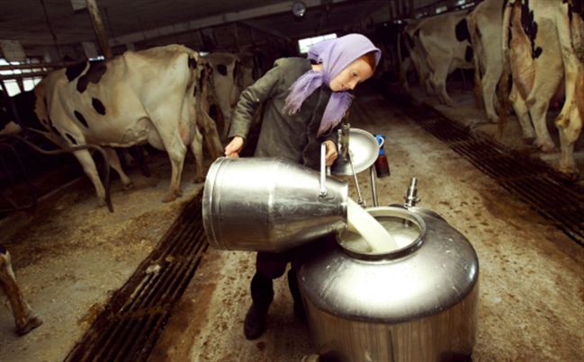 Hati-hati bila Mengonsumsi 5 Jenis Makanan Ini Saat Mentah