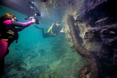 Penyelam Terkejut Temukan Anaconda Besar di Gua Bawah Air