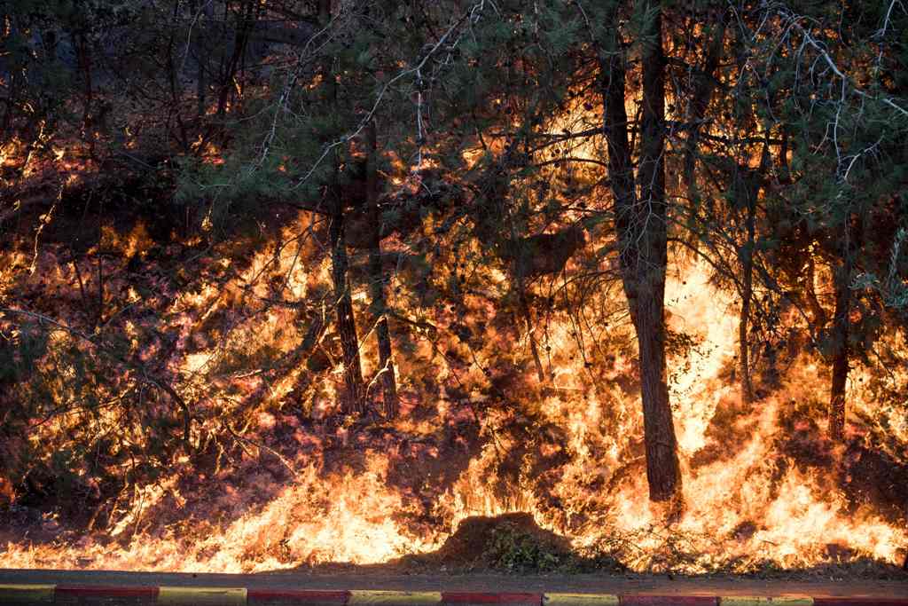 Warga Arab Dituduh sebagai Otak Kebakaran di Israel