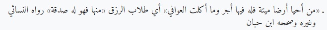 Hewan Kurban dari Nonmuslim, Bagaimana Hukumnya?