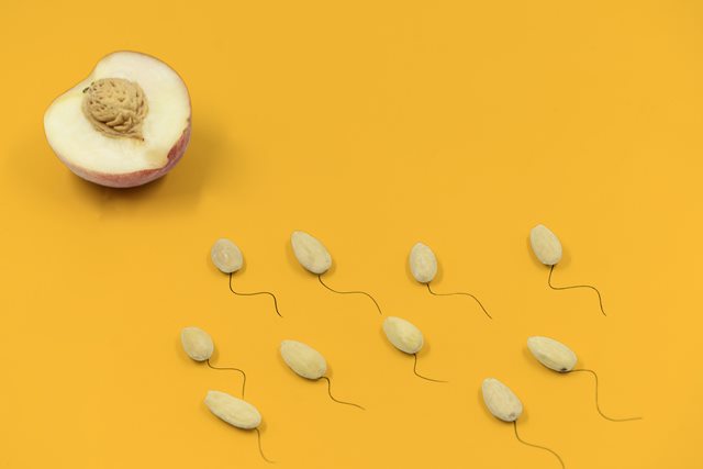 apakah menelan sperma bisa hamil