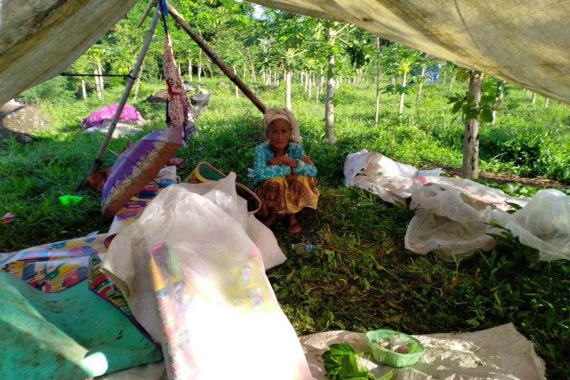 Mensos Cek Kabar Penarikan Bantuan Bupati Jember