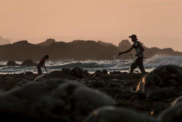 Berburu Cacing Warna-warni Perwujudan Putri Cantik di Lombok