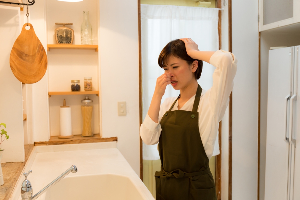 5 Cara Bikin Rumah Selalu Wangi