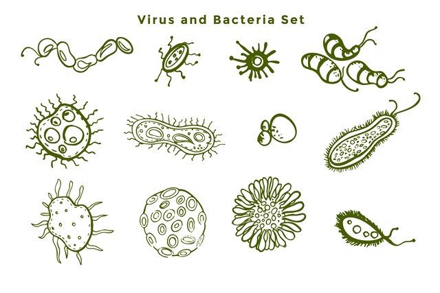 beda bakteri dan virus
