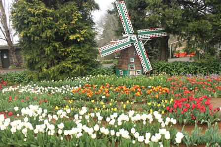 Mengubah Tanah Menjadi Ladang Uang Ala Petani Australia