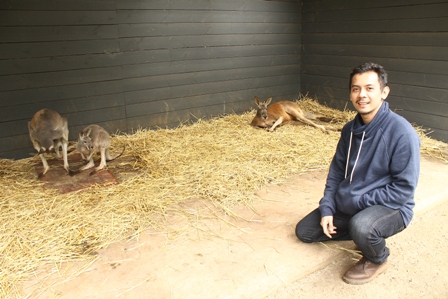 Keseruan Berinteraksi dengan Hewan Liar Khas Australia di Healesville Sanctuary
