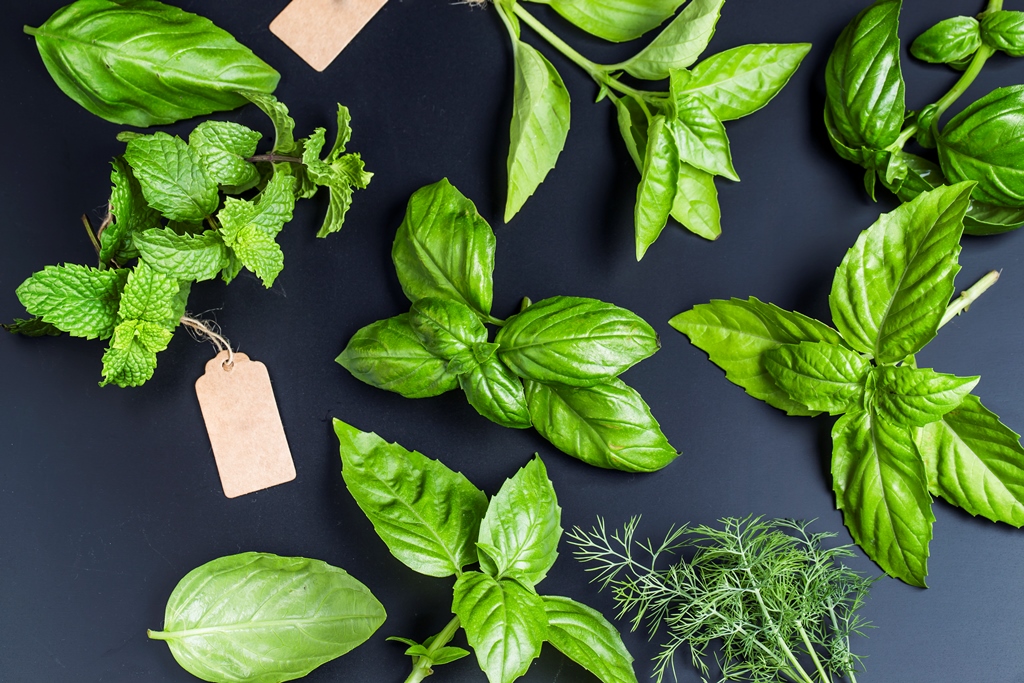 10 Bahan Herbal yang Bisa Membantu Turunkan Hipertensi