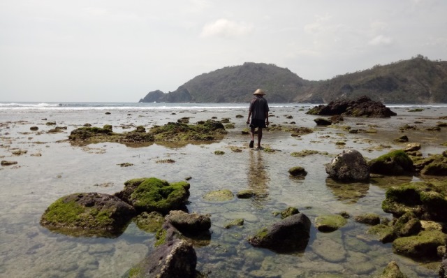 Menikmati Pesona Batuan Karang dan Andesit di Pantai Wediombo