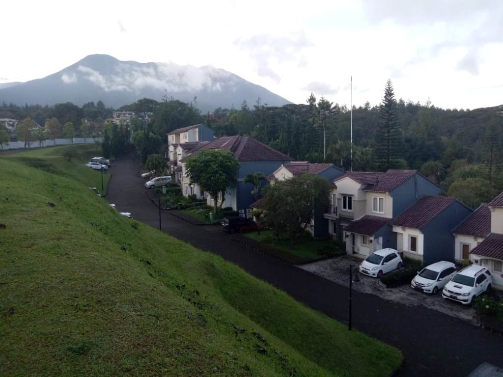 Hutan Pinus Cibeureum, Oase di Sela Kemacetan Kawasan Puncak
