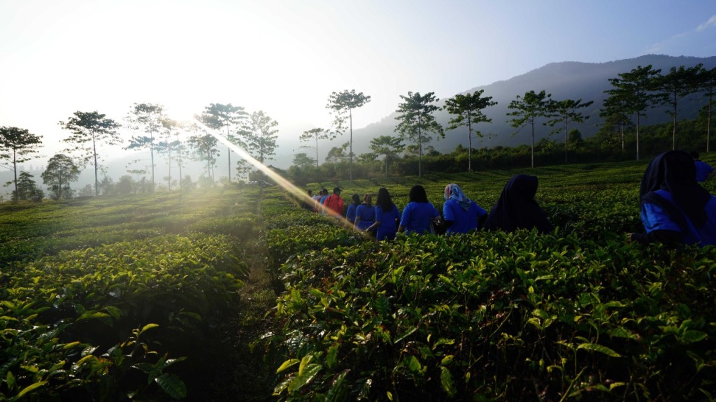 Menyatu dengan Alam di Kaki Gunung Pangrango