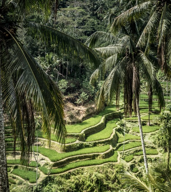 Lima Alasan Berkunjung ke Bali versi Media Asing