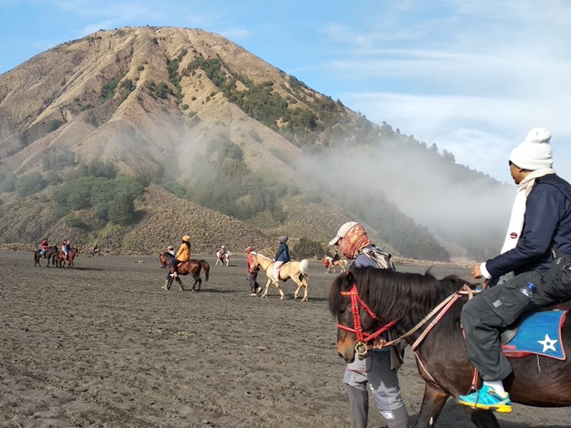 Sehari Menikmati Keagungan Gunung Bromo