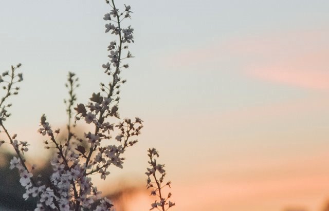 10 Pemicu Umum Asma dalam Keseharian