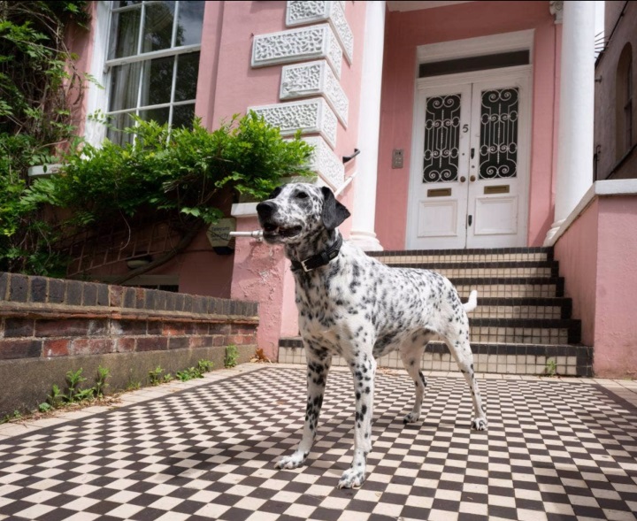 Rumah Ini Jadi Inspirasi Novel 101 Dalmatians