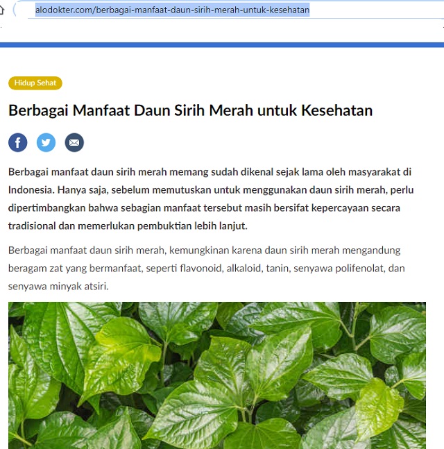 Viral Di Grup Wa Mengunyah Daun Sirih Bisa Jadi Antiseptik Cegah Korona Medcom Id