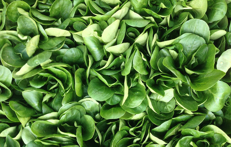 Mengatasi Perut Kembung dengan Tomat dan Mentimun