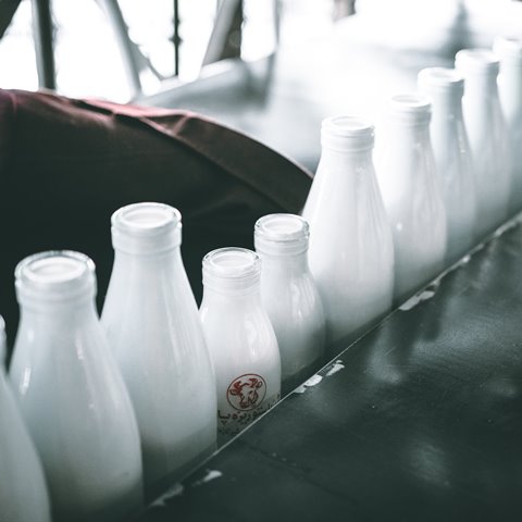 Ada Desa Susu di Ciater