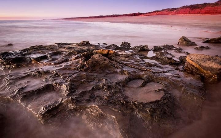 Jejak Kaki Dinosaurus Terbesar Ditemukan di 'Jurassic Park Australia'