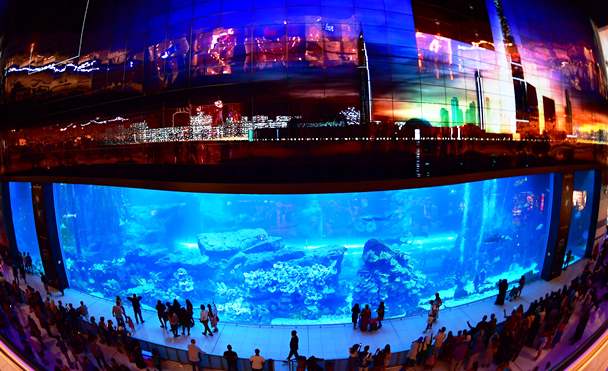 Jadi 'Aquaman' dalam Mall of Dubai