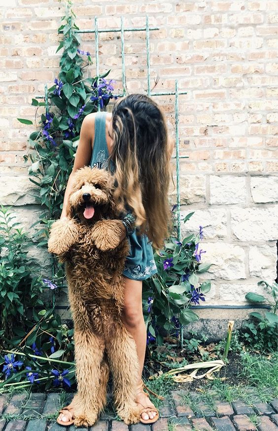 Ini Yang Perlu Anda Ketahui Ketika Memberi Makan Hewan Peliharaan