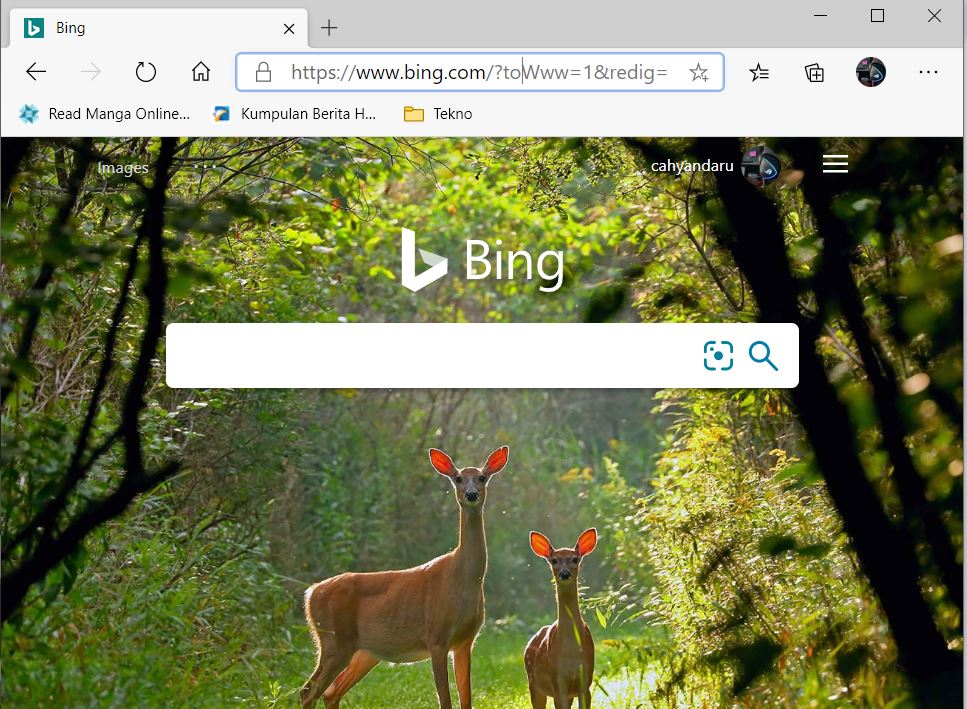 Cara Pasang Google Search di Microsoft Edge Chromium