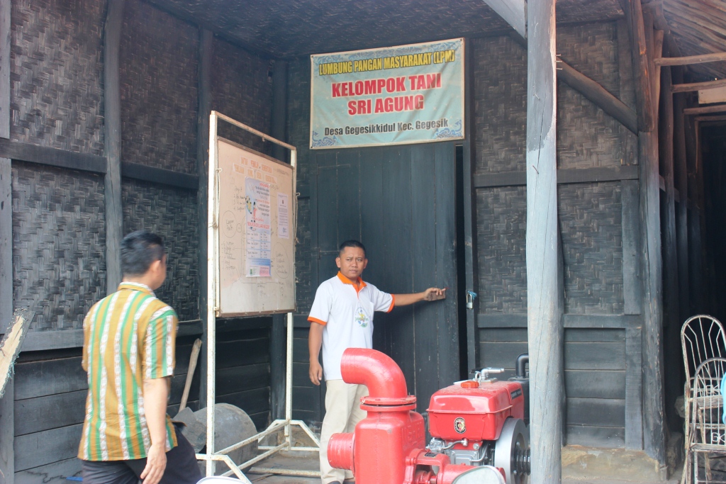 Gengsi Main Cangkul di Desa Gegesik Kidul