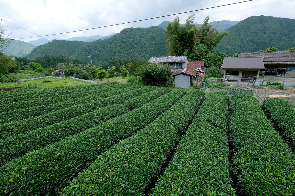 Di Jepang, Anda Bisa Beli Rumah Pedesaan Seharga Rp7 Juta