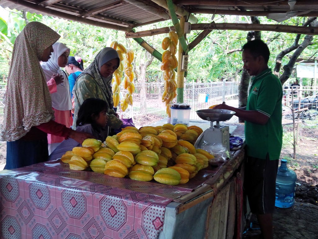 Cerita Desa Miskin di Bojonegoro Memiliki Petani Jutawan