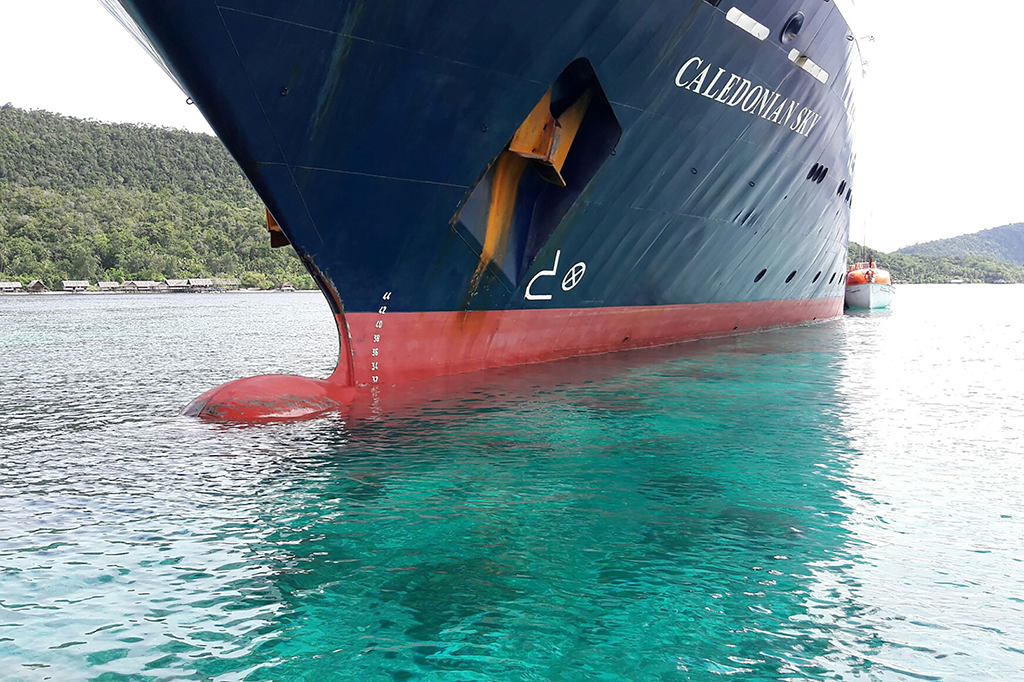 Luhut Sudah Pegang Data Kerusakan Terumbu Karang Raja Ampat