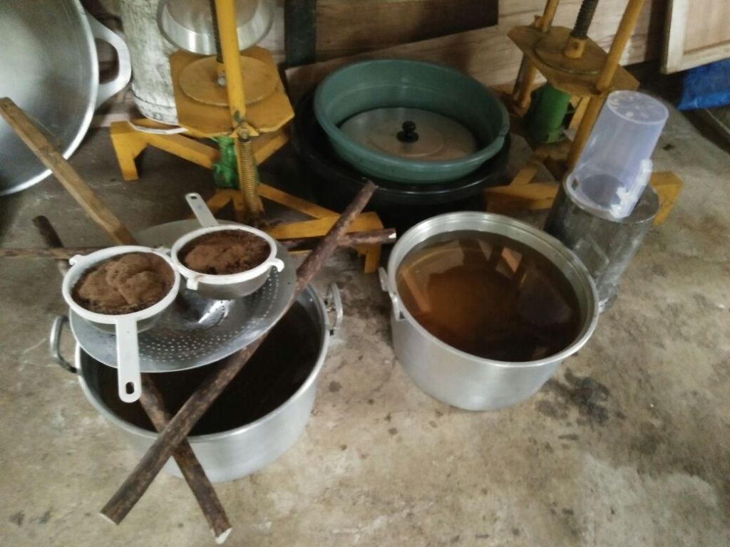 Bangun PLTS untuk Operasikan Pabrik Es Batu