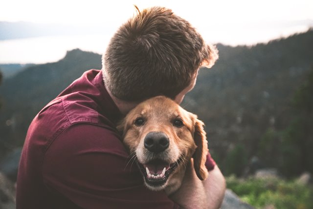 Alasan Kenapa Anjing Anda Mengikuti Sampai ke Kamar Mandi