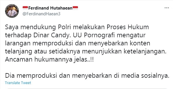 Dinar Candy Ditangkap Polisi, Ferdinand Hutahean: Pornografi Hukumnya Jelas