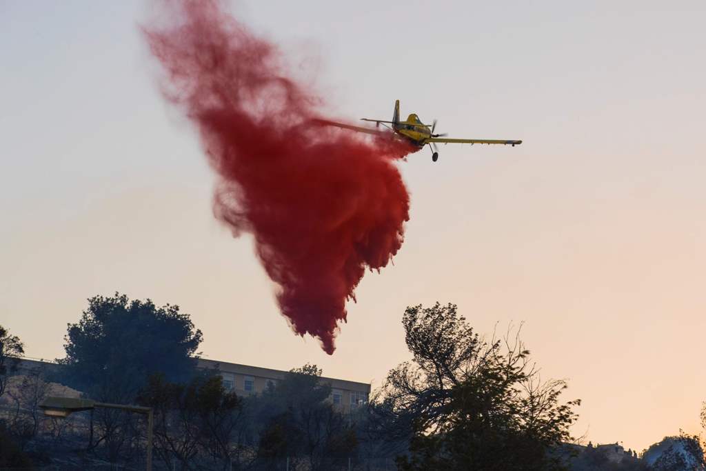 Israel Tahan Enam Orang Lagi Terkait Pembakaran Hutan