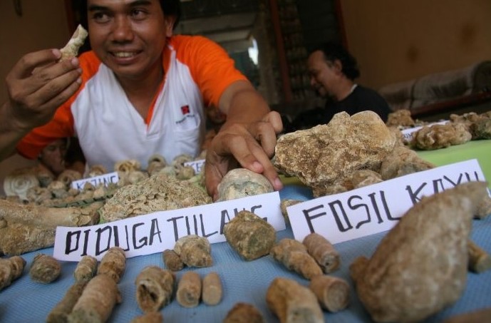 Dari Mana Asal Usul Nenek Moyang Indonesia? Ini 3 Teorinya
