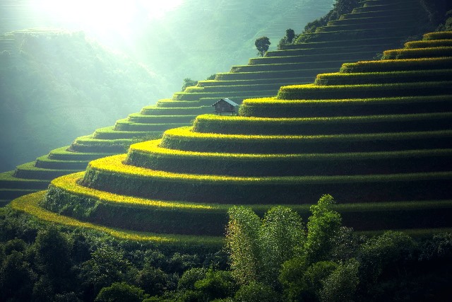 Travelling Menjadi Tren di 2017