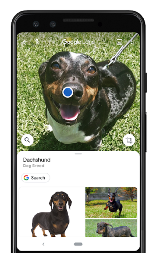 google lens