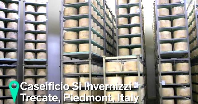 Mengenal Sejarah Si Keju Biru Asal Italia