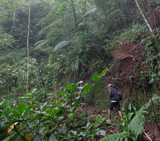 Penjaga Setia Gua Jepang di Yogyakarta