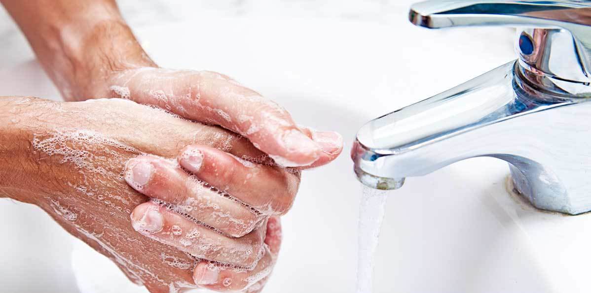Cara Mencegah Keracunan Bakteri E. Coli