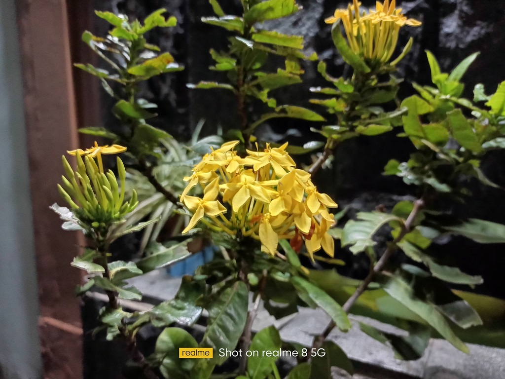 Review realme 8 5G, HP 5G untuk Semua Pengguna