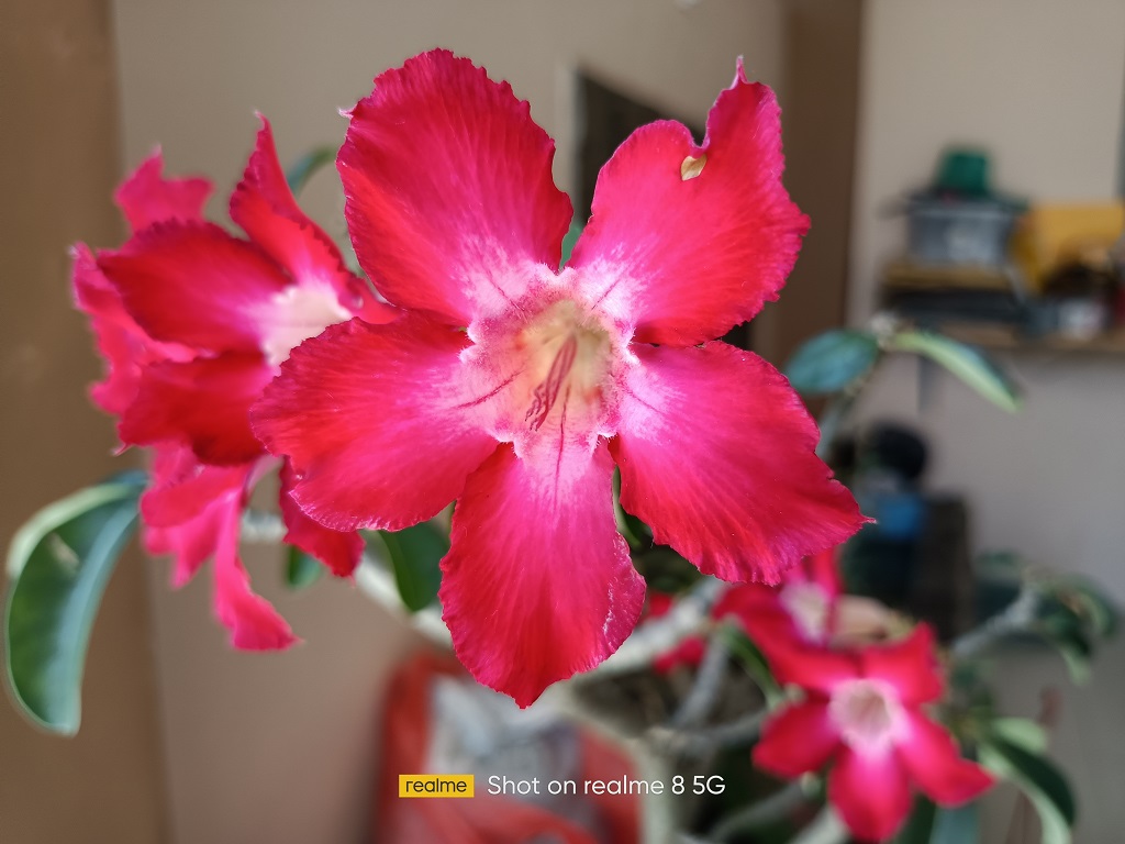 Review realme 8 5G, HP 5G untuk Semua Pengguna