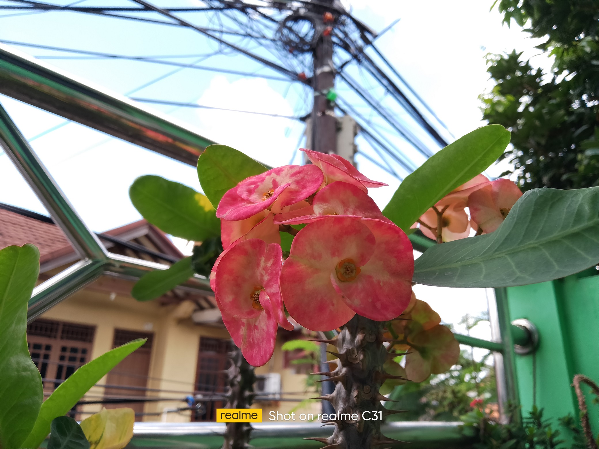 Review realme C31, Pilihan Menarik Smartphone Entry-Level Terbaru