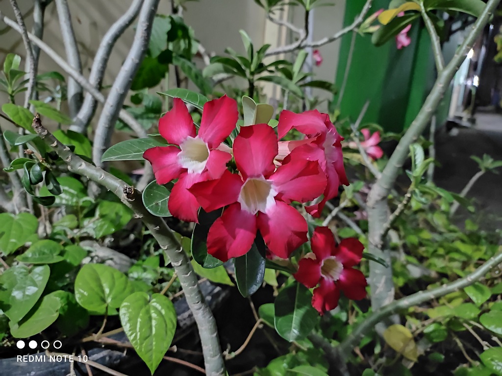 Review Redmi Note 10, Desain dan Spesifikasinya Naik Kelas